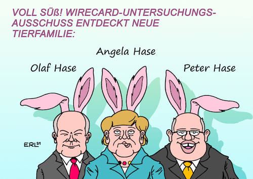 Wirecard Bericht