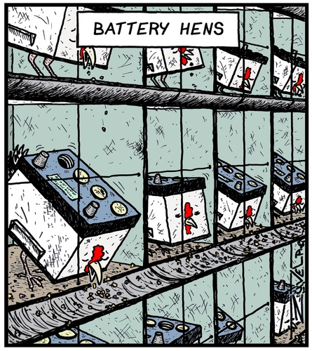 12 Volters