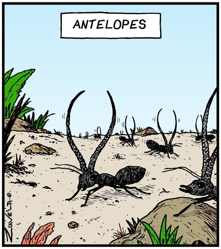 Ant Elopes Ant Elopes