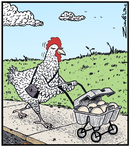 Nice day for a walk Nice day for a walk