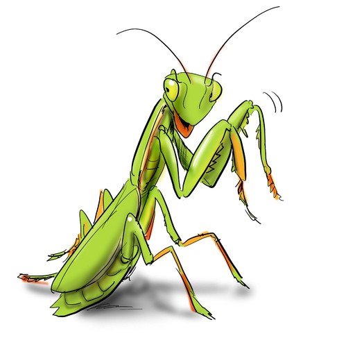 Cartoon: mantis (medium) by Martin Hron tagged mantis
