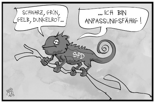 Chamäleon SPD