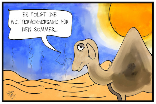 Dürre-Sommer
