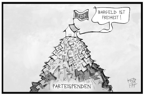 FDP-Parteispende