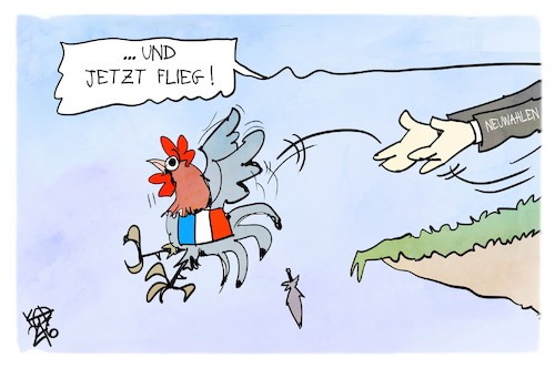 Cartoon: Frankreich (medium) by Kostas Koufogiorgos tagged karikatur,koufogiorgos,parlamentswahl,frankreich,hahn,fliegen,vogel,karikatur,koufogiorgos,parlamentswahl,frankreich,hahn,fliegen,vogel