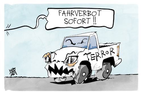 Terrorfahrten