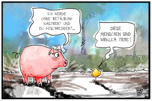 Cartoon: Tierleid (medium) by Kostas Koufogiorgos tagged karikatur,koufogiorgos,illustration,cartoon,tierschutz,tier,ferkel,küken,kastration,mensch,tierwohl,nutztiere,agrar,wirtschaft,karikatur,koufogiorgos,illustration,cartoon,tierschutz,tier,ferkel,küken,kastration,mensch,tierwohl,nutztiere,agrar,wirtschaft