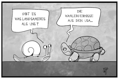 Cartoon: US-Wahlergebnisse (medium) by Kostas Koufogiorgos tagged karikatur,koufogiorgos,illustration,cartoon,usa,wahl,wahlergebnis,schildkröte,schnecke,langsamkeit,warten,tier,demokratie,auszählung,karikatur,koufogiorgos,illustration,cartoon,usa,wahl,wahlergebnis,schildkröte,schnecke,langsamkeit,warten,tier,demokratie,auszählung