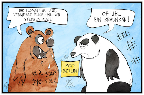 Von Panda- und Braunbären