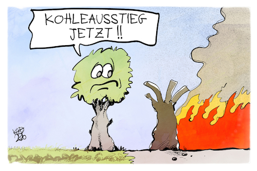 Waldbrände in Europa Waldbrände in Europa