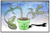 Cartoon: Bayer-Monsanto (small) by Kostas Koufogiorgos tagged karikatur,koufogiorgos,illustration,cartoon,bayer,monsanto,pflanze,fleischfressend,chemie,agrar,wirtschaft,aktie