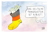 Cartoon: Deutsches Finanzsystem (small) by Kostas Koufogiorgos tagged karikatur,koufogiorgos,finanzsystem,socke,sparstrumpf,geld,sparen,deutschland,robust