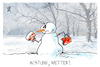 Cartoon: Winterwetter (small) by Kostas Koufogiorgos tagged karikatur,koufogiorgos,winter,wetter,schneemann,gefahr