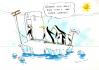 Cartoon: Erderwärmung auch für Pinguine (small) by Marlene Pohle tagged erderwärmung