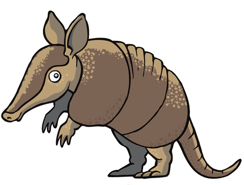 Cartoon: Gürteltiere (medium) by grega tagged little,armored,one,spanish,or,turtle,rabbit,aztec