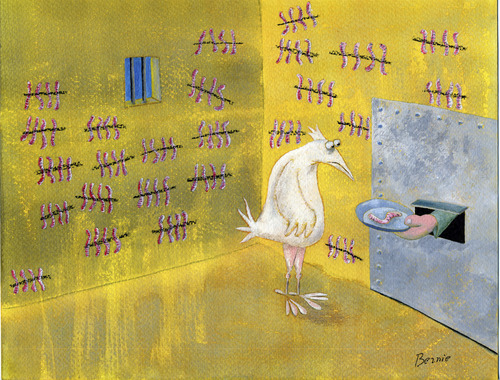 Cartoon: Hard life in jail (medium) by bernie tagged bird,jail,food
