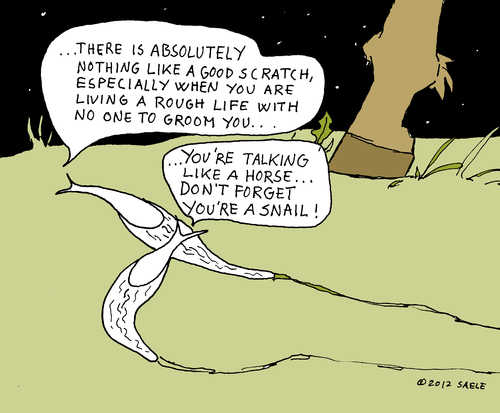 Cartoon: No. 6 (medium) by Snail Community Global tagged groom,horse,snails,snail,art