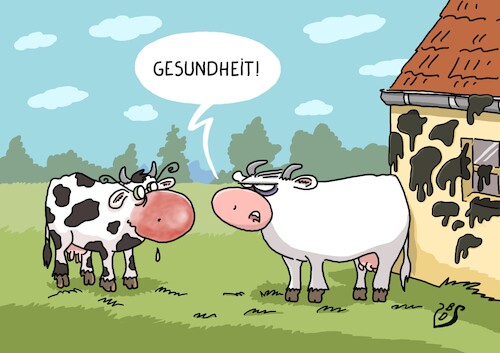 Gesundheit