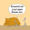 Cartoon: Katzenfell (small) by lexatoons tagged katze maus irrtum rheuma tiere