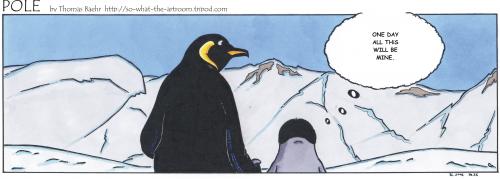 Cartoon: POLE Strip No.36 (medium) by Penguin_guy tagged penguins,pinguine,pets,tiere,animals,dad,vater,son,sohn,,pinguine,tiere,vögel,natur,seetaucher,lernen,taucher,meer,kalt,antarktis,vater,sohn,familie,zukunft,meins,deins,denken,land,besitz,erben,erbschaft,vermächtnis,vermachen,eisberge,gedanken