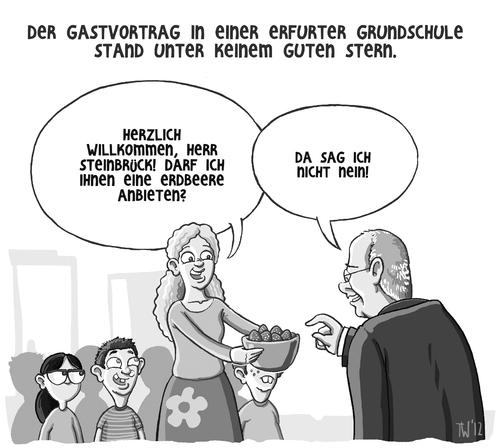 Steinbrück Steinbrück