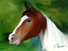 Cartoon: My horses (small) by semra akbulut tagged horse,at,semra,akbulut