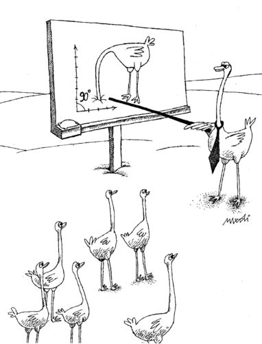 Cartoon: school teaching (medium) by Medi Belortaja tagged teaching,school,students,birds,humor
