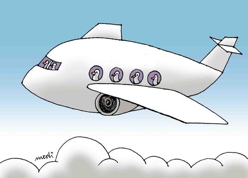 Cartoon: birds in flight (medium) by Medi Belortaja tagged plane,travelling,birds,flight,humor