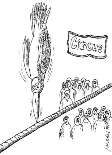 Cartoon: circus (medium) by Medi Belortaja tagged balance,beak,birds,circus