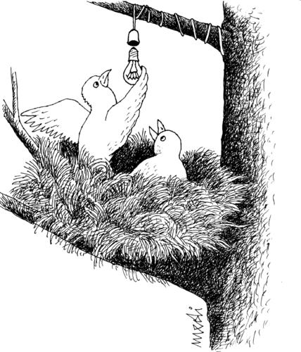 Cartoon: electrification (medium) by Medi Belortaja tagged electrification,birds,bulb,light,energy,nest,humor