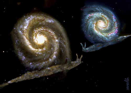 Cartoon: galaxy snails (medium) by Medi Belortaja tagged discoveries,snails,snail,galaxy,nasa,stars,planets,slowely,universe