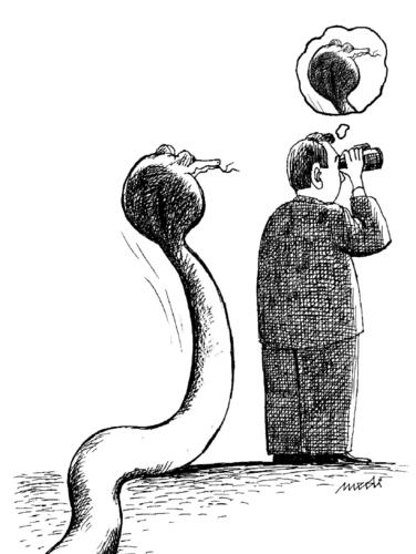 Cartoon: I do not see it (medium) by Medi Belortaja tagged binoculars,danger,snake
