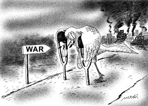 Cartoon: returns from war (medium) by Medi Belortaja tagged mideast,conflict,war,peace,returns,colombo,pigeon,dove