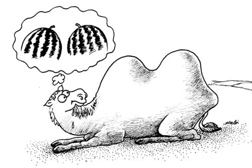 Cartoon: Reverie of camel (medium) by Medi Belortaja tagged watermelon,camel,reverie,lumps,humor