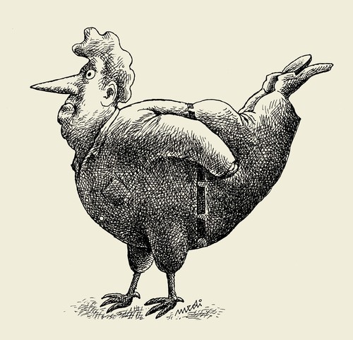 Cartoon: roosterman (medium) by Medi Belortaja tagged genetical,obesity,obese,man,chicken,rooster,modification