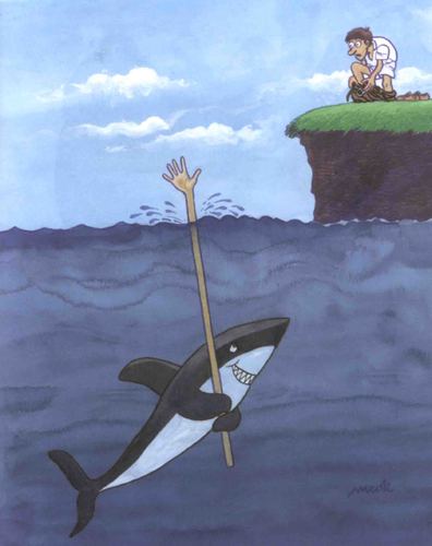 Cartoon: shark s game (medium) by Medi Belortaja tagged humor,hand,help,game,shark