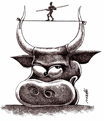 Cartoon: toreador (medium) by Medi Belortaja tagged horns,torreador,cow,bull,head,tumbling