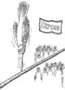 Cartoon: circus (small) by Medi Belortaja tagged circus,birds,beak,balance