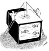 Cartoon: fishing in tv (small) by Medi Belortaja tagged fishing fisherman fish tv