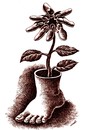 Cartoon: flower of sacrifices (small) by Medi Belortaja tagged flower,shoe,shoes,foot,flowerpot,leg,legs