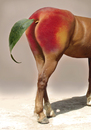 Cartoon: horsepeach (small) by Medi Belortaja tagged horse ass fruit peach