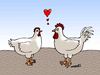 Cartoon: love (small) by Medi Belortaja tagged love,rooster,hert,chickens,valentines