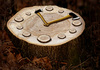 Cartoon: natural clock (small) by Medi Belortaja tagged natural,clock,skid,timber,tree,cut,trees,ax,axes,forest,environment,ecology