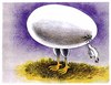 Cartoon: the egg born chicken (small) by Medi Belortaja tagged egg,birth,born,chicken,bird
