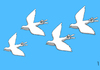 Cartoon: victory sky (small) by Medi Belortaja tagged victory,sky,pigeon,colombo,dove,freedom