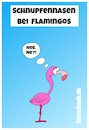 Cartoon: Schnupfennasen bei Flamingos (small) by brezeltaub tagged schnupfen,nase,schnupfennase,flamingos,erkältung,husten,rote,brezeltaub,grippe,fieber,rotznase
