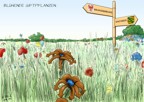 Cartoon: Landtagswahlen (medium) by Ago tagged landtagswahlen,sachsen,brandenburg,prognosen,verluste,regierungsparteien,spd,cdu,zugewinne,afd,zuspruch,osten,populismus,nationalismus,einfache,antworten,diffamierung,stammtisch,parolen,protest,volksparteien,zersplitterung,parteien,schwierige,regierungsbildung,blühende,landschaften,giftpflanzen,politik,karikatur,cartoon,pressezeichnung,illustration,tale,agostino,natale,landtagswahlen,sachsen,brandenburg,prognosen,verluste,regierungsparteien,spd,cdu,zugewinne,afd,zuspruch,osten,populismus,nationalismus,einfache,antworten,diffamierung,stammtisch,parolen,protest,volksparteien,zersplitterung,parteien,schwierige,regierungsbildung,blühende,landschaften,giftpflanzen,politik,karikatur,cartoon,pressezeichnung,illustration,tale,agostino,natale