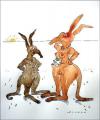 Cartoon: Kängurus (small) by Rainer Schade tagged couple beziehung