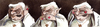 Cartoon: omerta (small) by matteo bertelli tagged catholic church vatican scandal bertelli