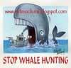 Cartoon: Stop Whale Hunting (small) by Roberto Mangosi tagged whale,hunting